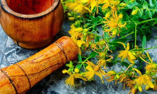 L’uso dei rimedi naturali nella pratica osteopatica